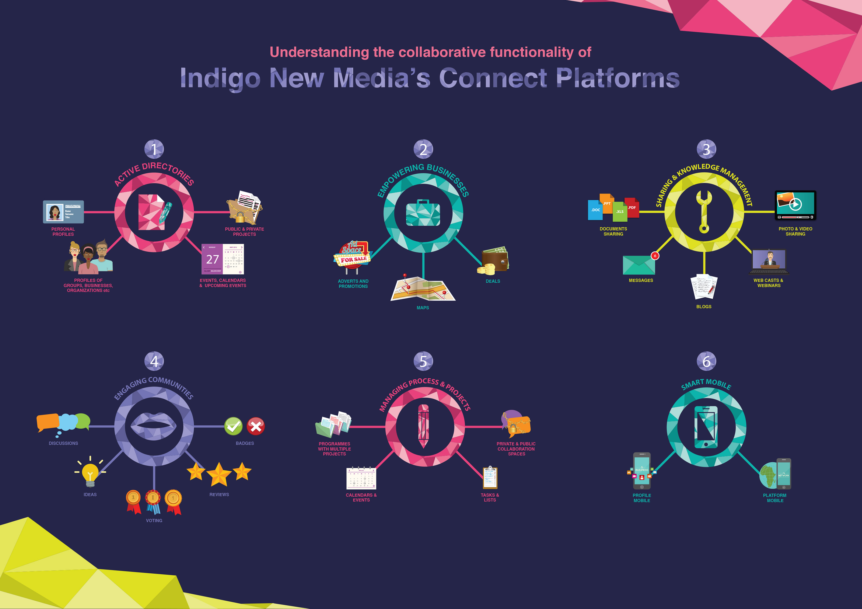 INM functionality map (LR).jpg